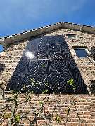 Yellowflowtaik - GALLERY