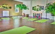 Yoga & Seminar-Zentrum Mannheim + Yogalehrer Ausbildungen - 5