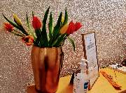 YogaLounge Erfurt - GALLERY