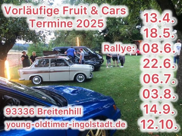 young oldtimer ingolstadt - GALLERY