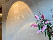 Zähne im Zentrum - Dr. Breuer & Dr. Repges & Kollegen - GALLERY