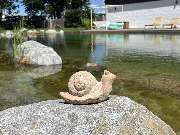 Zagray Garten & Landschaftsbau - GALLERY