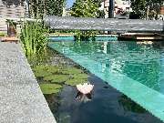 Zagray Garten & Landschaftsbau - GALLERY