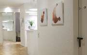 Zahnärztliche Fachpraxis in der Goldstraße - Dr. Behm, Dr. Rohlfing M.Sc. - GALLERY