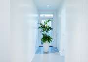 Zahnarztpraxis Dr. Thomas Fleischmann | Reutlingen - Zahnarztpraxis Dr. Thomas Fleischmann | Reutlingen