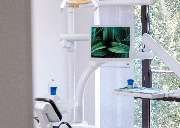 Zahnarztpraxis in der Fürstenstraße Dr. Sven Gangfuß | Endodontie | Bonn - GALLERY