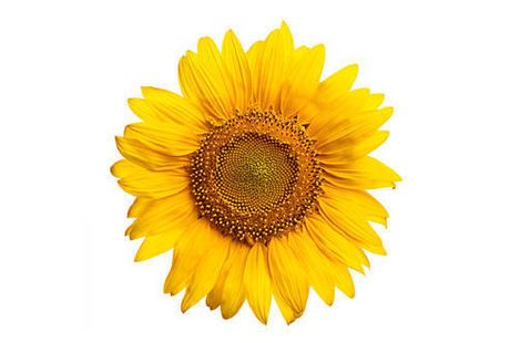 Zahnarztpraxis Sabine Vogl - GALLERY