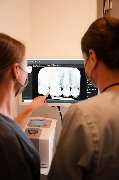 Zahnmedizin Niendorf - Dr. Dörte Möller - GALLERY