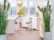 ZAHNSPANGENWELT Garbsen - Kieferothopäde in Garbsen - GALLERY