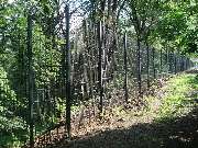 Zaun Kiefer GmbH - Gittermattenzaun eingegraben als Schutz vor Wildschweinen in Darmstadt
