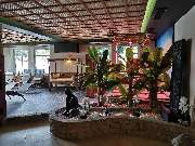 ZenDo Vital- und Gesundheitszentrum GmbH - GALLERY