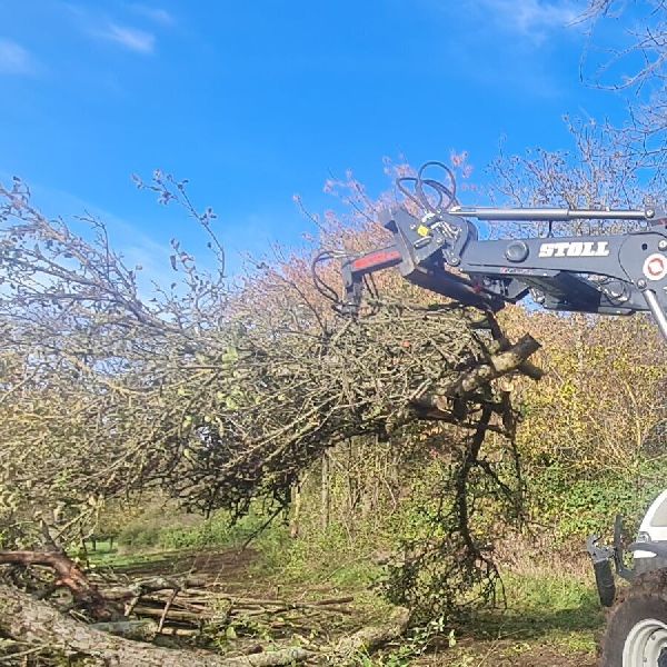 Zengerle Landschafts.- und Gartenpflege - GALLERY
