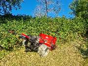 Zengerle Landschafts.- und Gartenpflege - GALLERY