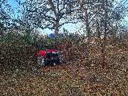 Zengerle Landschafts.- und Gartenpflege - GALLERY