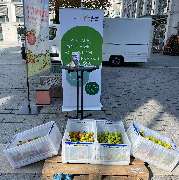 ZIMMERMANN IMMOBILIEN - GALLERY