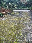 Zinnecker Steintechnik - 8