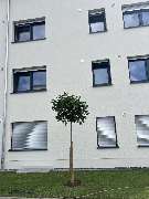 Ziolkowski Kamil - IMG_9376.jpeg