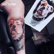Zone Piercing & Tattoo Braunschweig - Zone Piercing & Tattoo Braunschweig