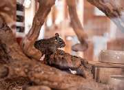 Zoo Burkart GmbH - GALLERY