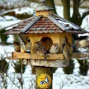 Zoo Burkart GmbH - GALLERY