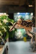 Zoo Burkart GmbH - GALLERY