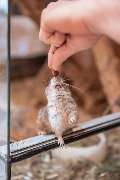 Zoo Burkart GmbH - GALLERY