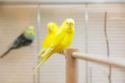 Zoo Burkart GmbH - GALLERY