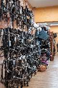 Zoo Burkart GmbH - GALLERY
