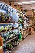 Zoo Burkart GmbH - GALLERY
