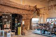 Zoo Burkart GmbH - GALLERY