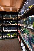 Zoo Burkart GmbH - GALLERY