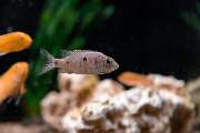 Zoo Burkart GmbH - GALLERY