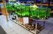 Zoo Fachmarkt Brändle - Wasserpflanzenanlage