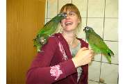 ZOO PHOENIX Silvia Gust - GALLERY