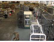 ZOO PHOENIX Silvia Gust - GALLERY