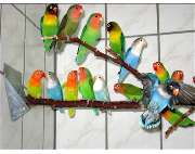 ZOO PHOENIX Silvia Gust - GALLERY