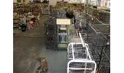 Zoo-Phoenix - GALLERY