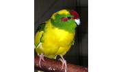 Zoo-Phoenix - GALLERY