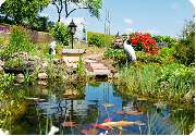 Zoo Rohleder - GALLERY