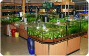 Zoo Rohleder - GALLERY