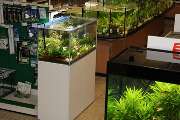 Zoo Rohleder - GALLERY