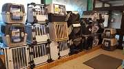 Zoo Rohleder - GALLERY