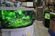 Zoo Stahl - GALLERY