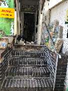 Zoopalästchen - GALLERY