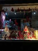 Zoopalästchen - Hier sieht man das frischgeschmückte Schaufenster für Weihnachten.